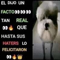 Xd Facts GIF