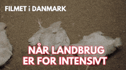 Chicken Go GIF by Veganerpartiet - Vegan Party of Denmark