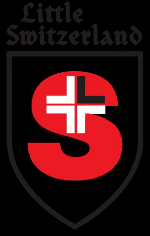 LittleSwitzSki giphyupload littleswitz littleswitzerland GIF