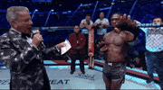 Mixed Martial Arts Sport GIF by UFC