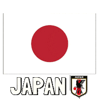World Cup Football Sticker by Pudgy Penguins