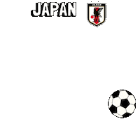 World Cup Football Sticker by Pudgy Penguins