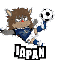 World Cup Football Sticker