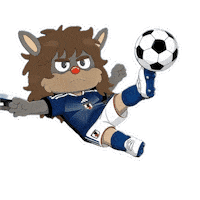 World Cup Football Sticker