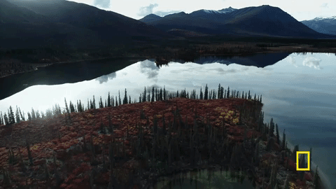 life below zero GIF by National Geographic Channel