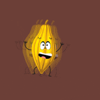 Turismo_Tabasco run mexico chocolate beans GIF