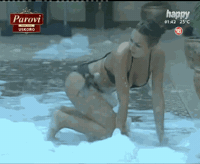 Shake Twerk GIF