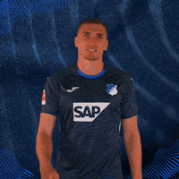 Tackling Grischa Prömel GIF by TSG Hoffenheim