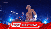 Wwe Wrestling GIF by USA Network