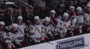 happy ice hockey GIF by NHL