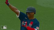 Red Sox Sport GIF by MLB