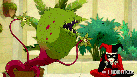 Harley Quinn GIF by HBO Max