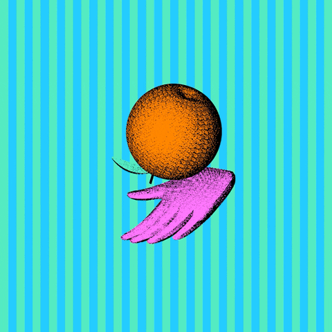 Orange Fruit Pink GIF by abj.world