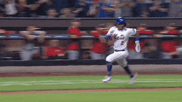 Baseball Nyc GIF by New York Mets