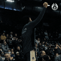 Milwaukee Bucks Dance GIF by Wisconsin Herd