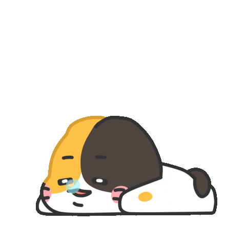 ba_so_0 giphyupload cat sleep 고양이 Sticker
