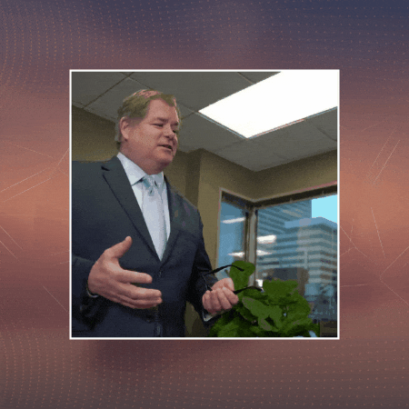 jamescarey0 giphygifmaker giphyattribution GIF