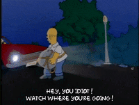 Season 1 Episode 3 GIF by The Simpsons