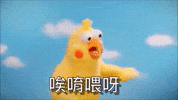 Taiwan Omg GIF