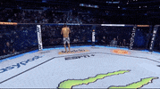 Mixed Martial Arts Sport GIF by UFC