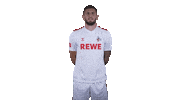 Fc Cologne Football Sticker by 1. FC Köln