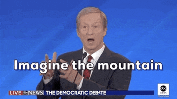 Democratic Debate Tom Steyer GIF by Election 2020
