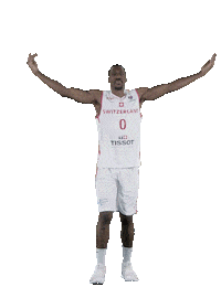 Crowd Sticker by Swiss Basketball
