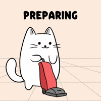 Getting Ready White Cat GIF by MESA My Emotional Support Animal