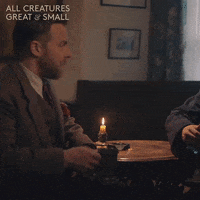 Beer Cheers GIF by All Creatures Great And Small