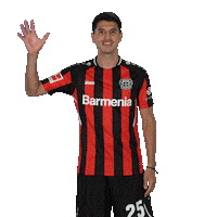 Good Morning Hello Sticker by Bayer 04 Leverkusen