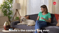 Nadia Is The Coolest Dog Ever