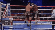 toprank fight boxing fighting espn GIF
