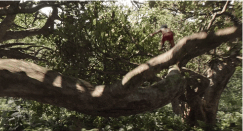 jon favreau disney GIF by Disney's The Jungle Book