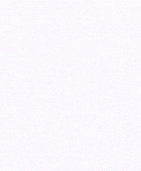 Charlie Kirk Son GIF