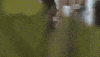 Tentaciones Fiama GIF by Mediaset España