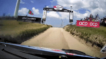jump portugal GIF by FIA World Rally Championship