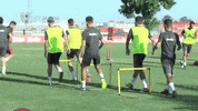 la liga soccer GIF by Sevilla Fútbol Club