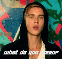 What Do You Mean GIF by Justin Bieber