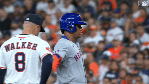 Juan Soto Celebration GIF by New York Mets