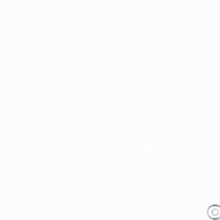 grupoconak grupoconak GIF