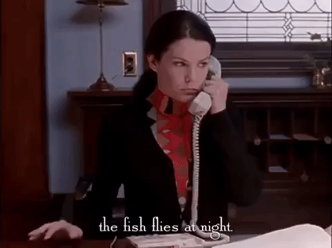 season 1 netflix GIF by Gilmore Girls 