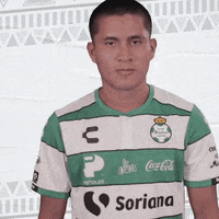 clubsantos  GIF