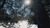 Glacier_3000 winter ski switzerland freeride GIF