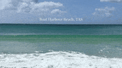 Boat Harbour Beach GIF