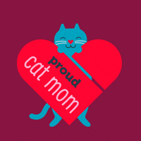Cat Love GIF by mera petfood