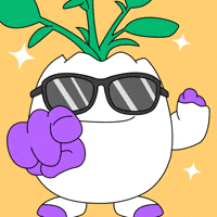 You Can Do It Good Luck GIF by Magic Eden