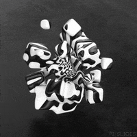 Black And White Art GIF by Pi-Slices