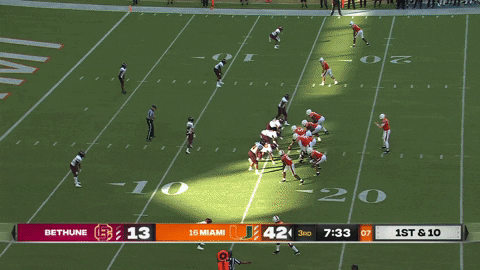 canesport giphyupload GIF