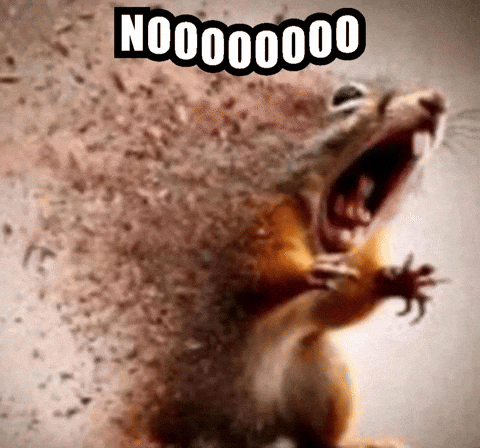 Nooo GIF