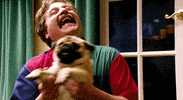 happy dancing pug zach galifianakis the campaign GIF